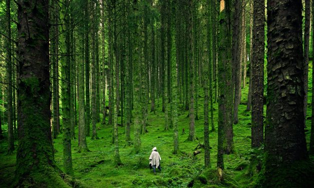 Being in nature is good for you – and the planet
